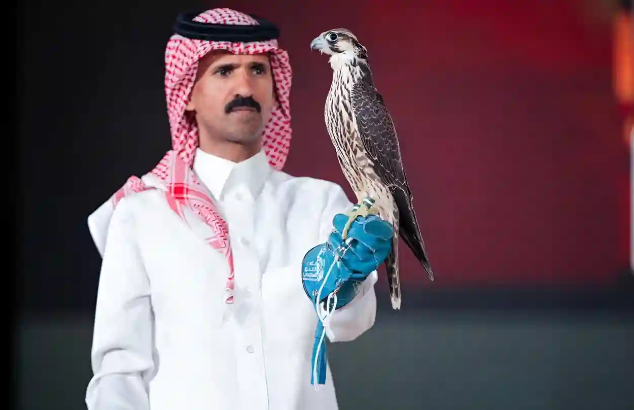 بيع صقرين بـ236 ألف ريال