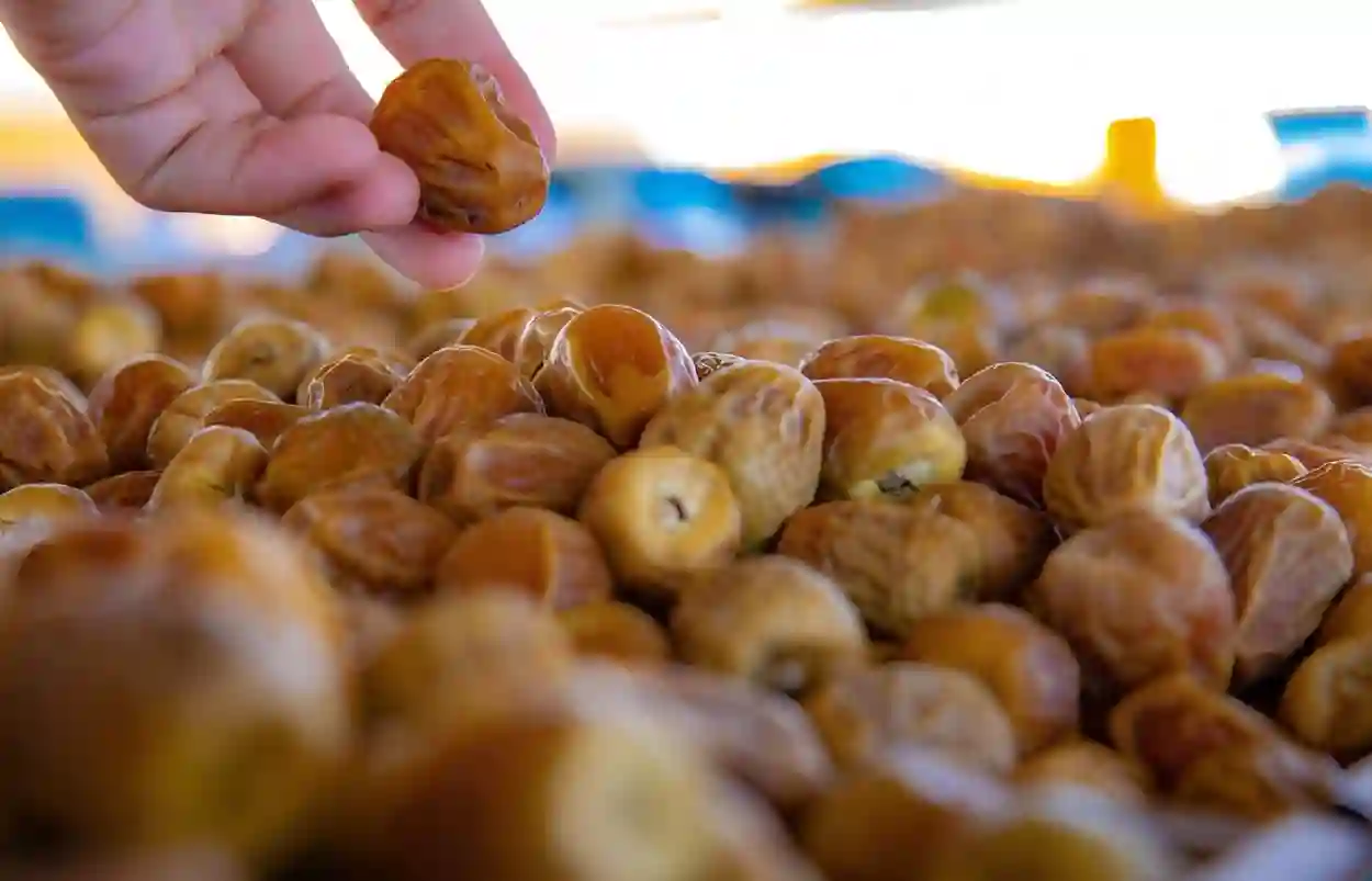 العُلا تختتم موسم التمور الأول