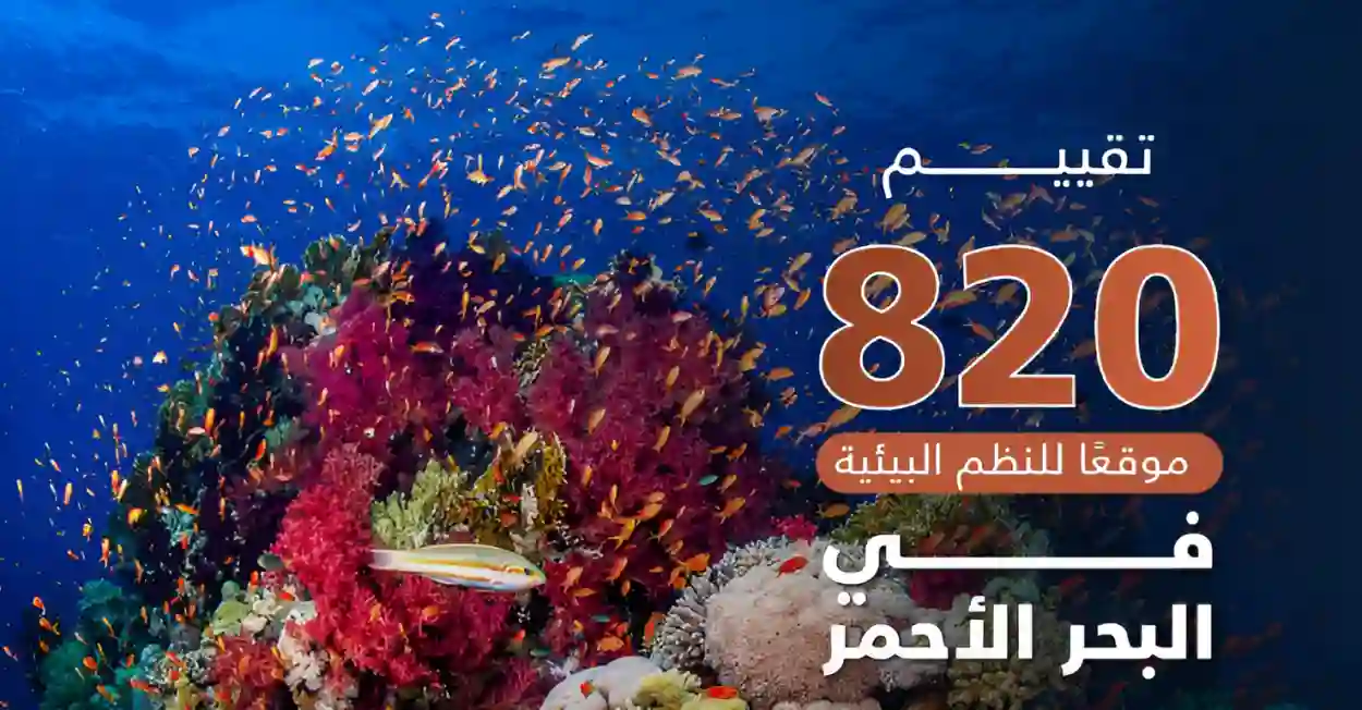 السعودية تستكشف 820 موقعاً بحرياً