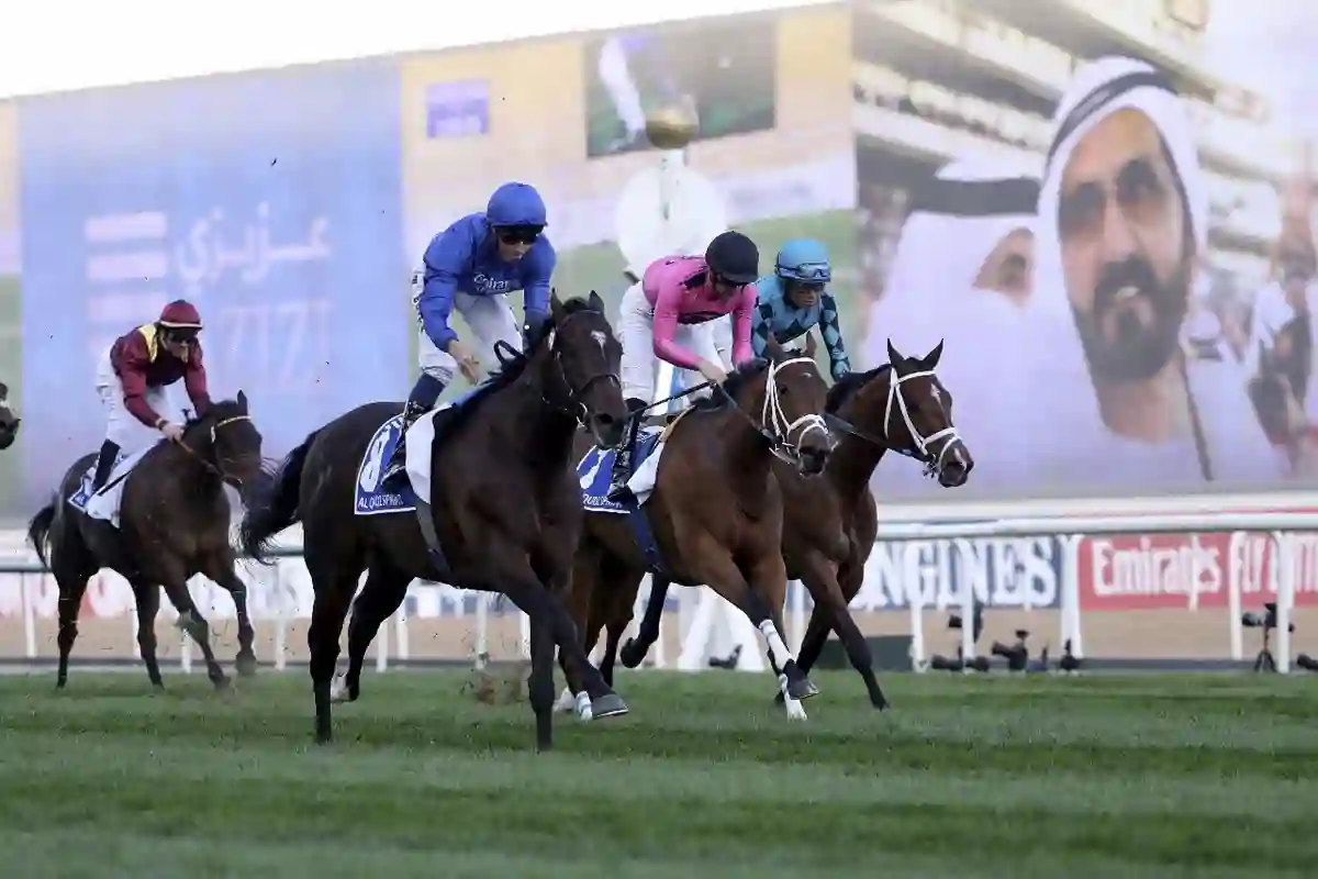 سباقات الخيل