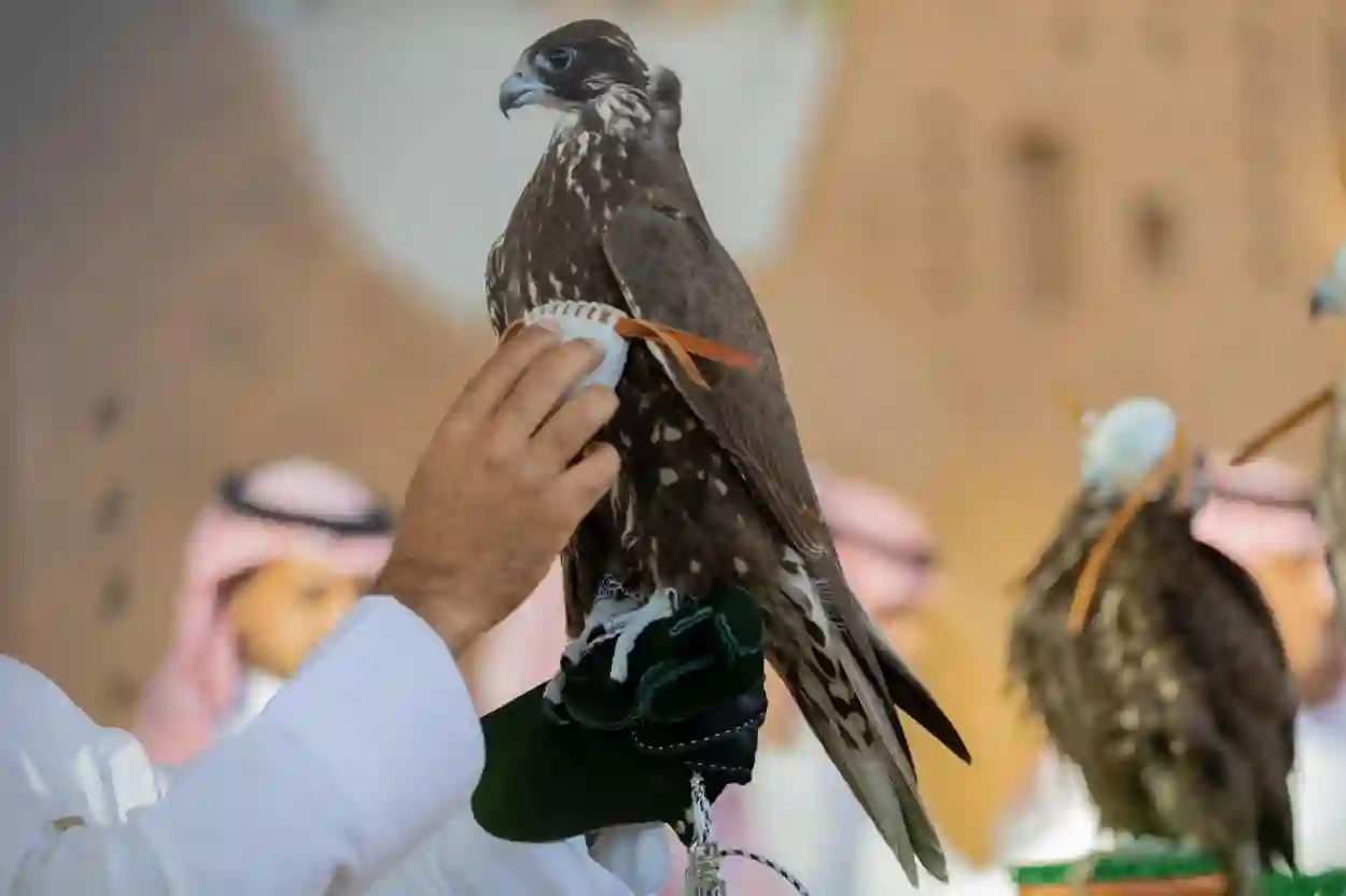 معرض الصقور