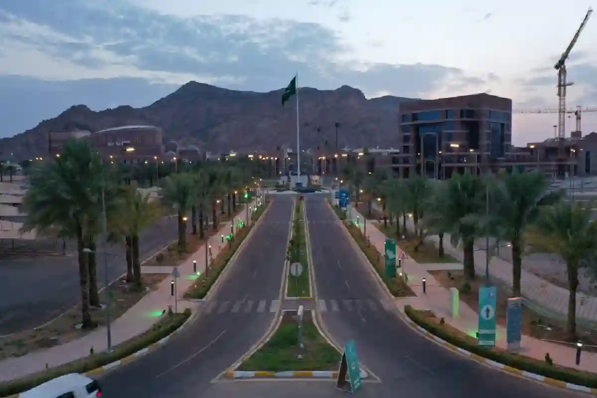 جامعة طيبة بالمدينة المنورة.