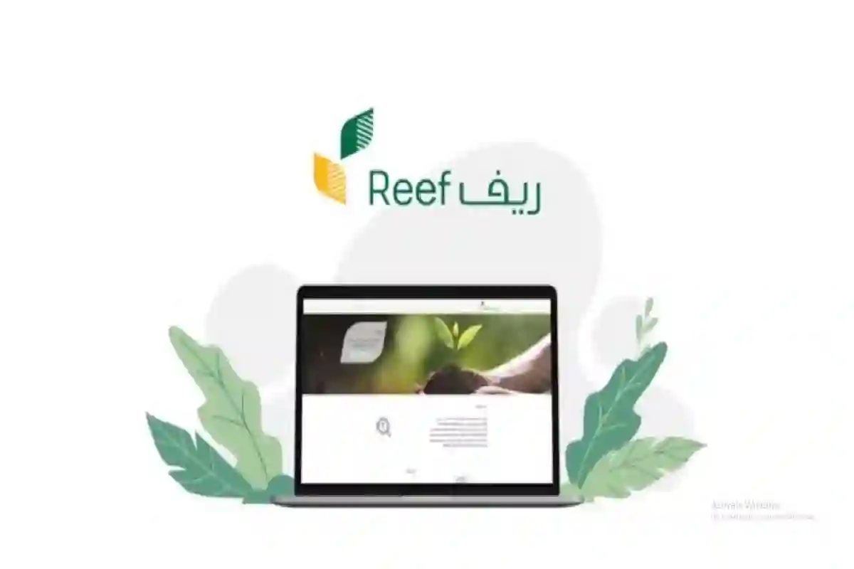 برنامج ريف السعودي.