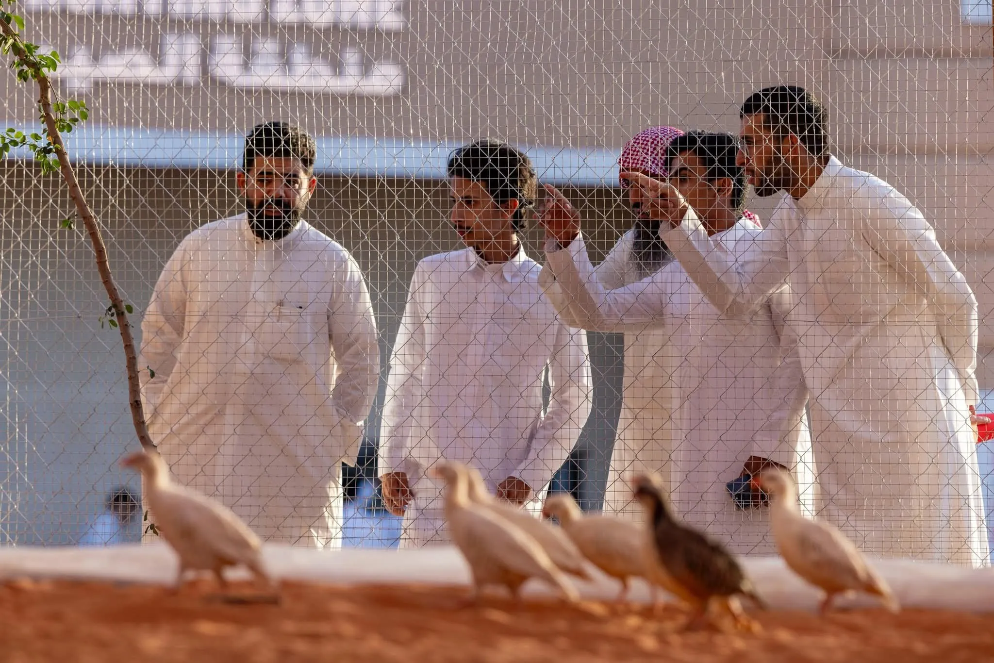 معرض الصقور والصيد السعودي الدولي 2025
