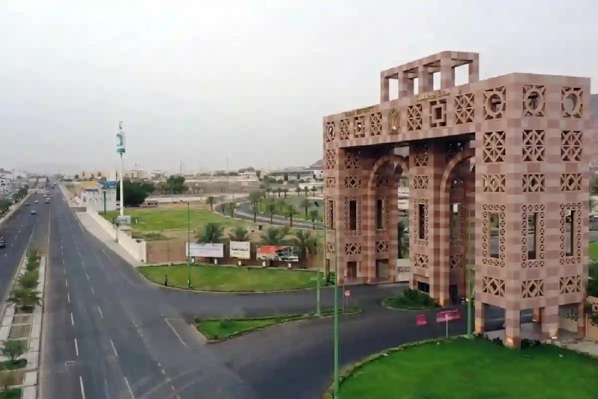 تعليم المدينة المنورة.