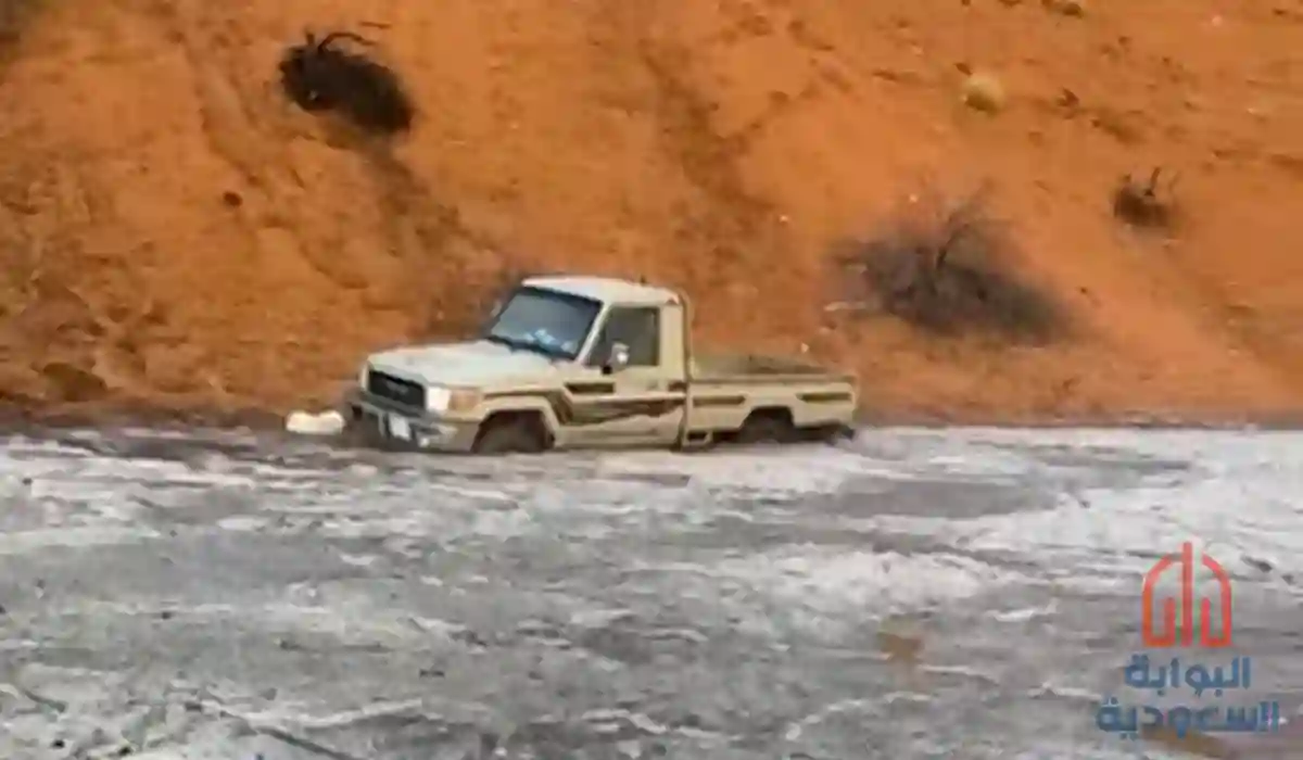 فزعة الشمال