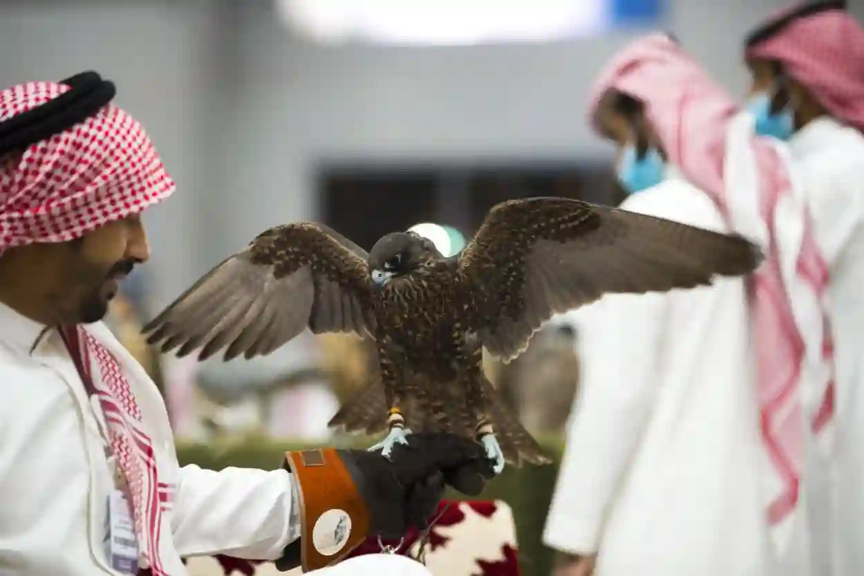 معرض الصقور