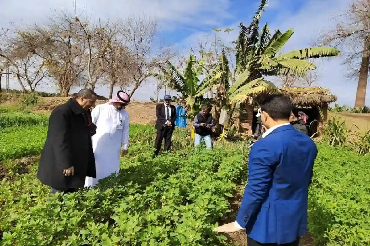 الزراعة السعودية