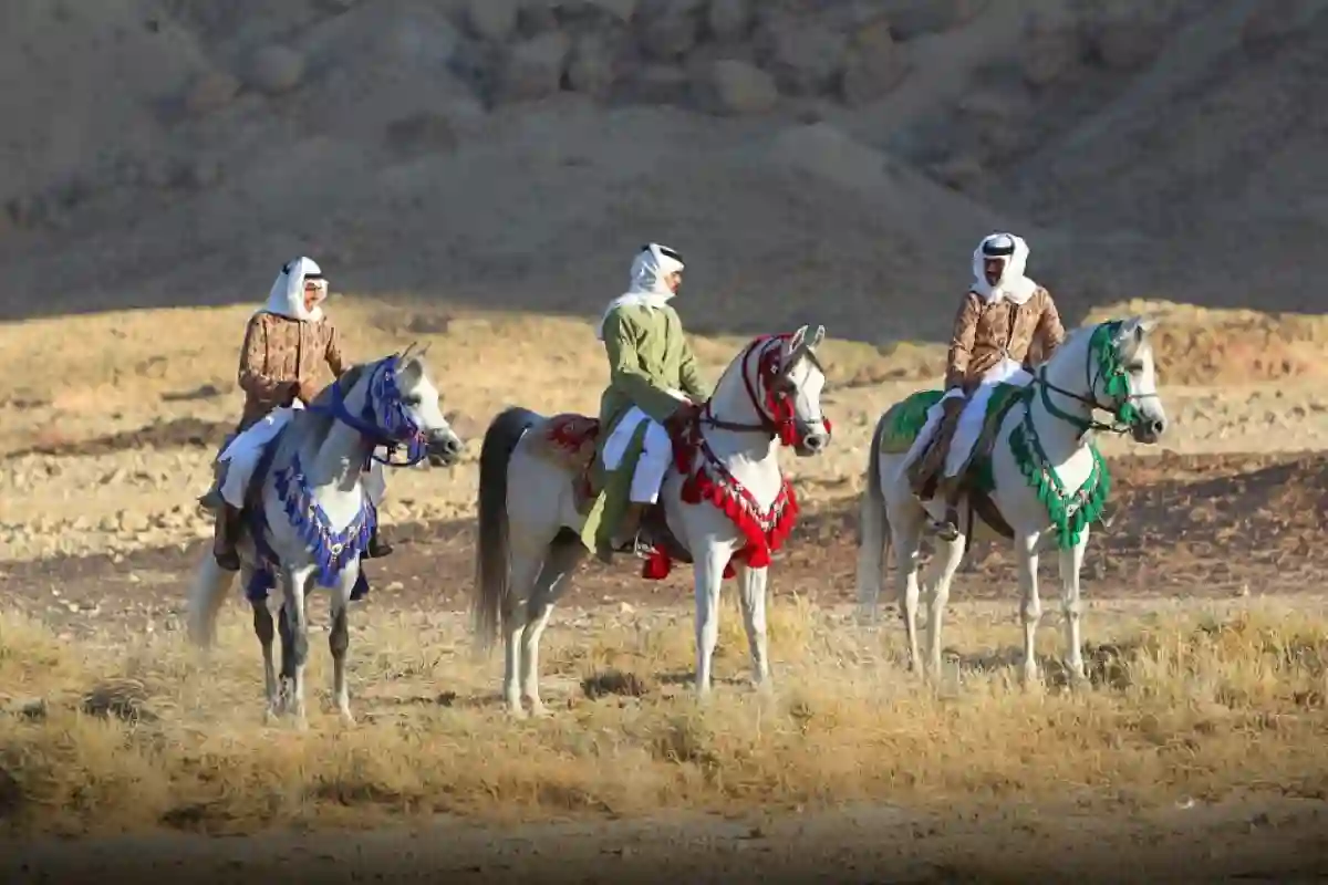 مركز الملك عبدالعزيز للخيل