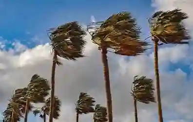 رياح نشطة تضرب مناطق واسعة