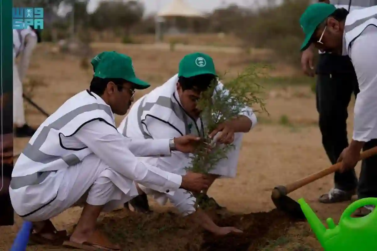 موسم التشجير الوطني